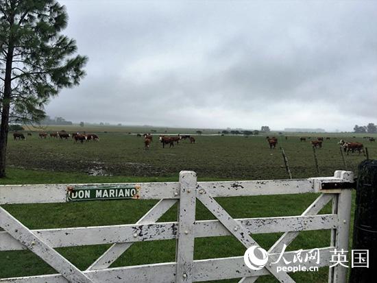 徒步第19天(4月24日):阿根廷一瞥