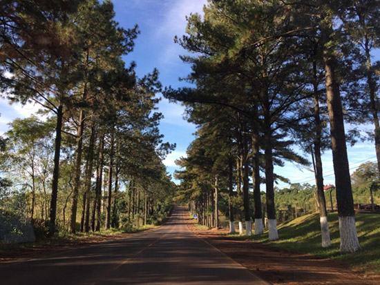 徒步第49天(5月24日):向前看