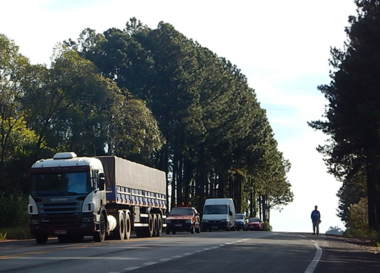 徒步第49天(5月24日):向前看