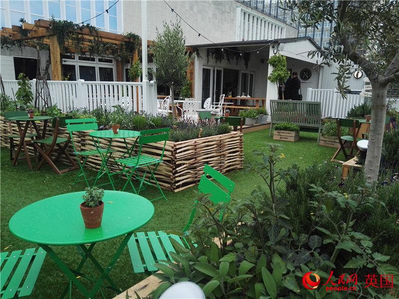 John Lewis的頂樓花園(攝影:白天行)