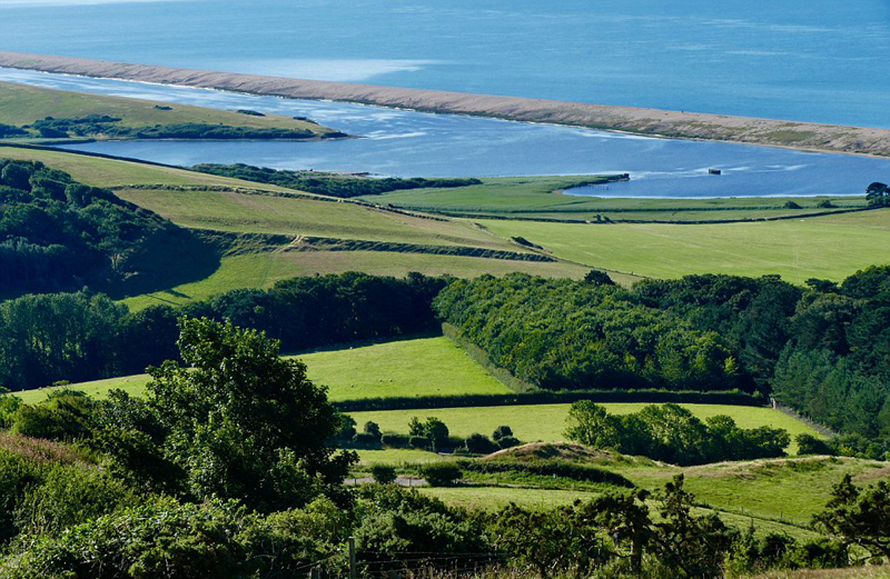 ӢȼС(zhn)F(xin)ҊL(fng) ο@棨MD7