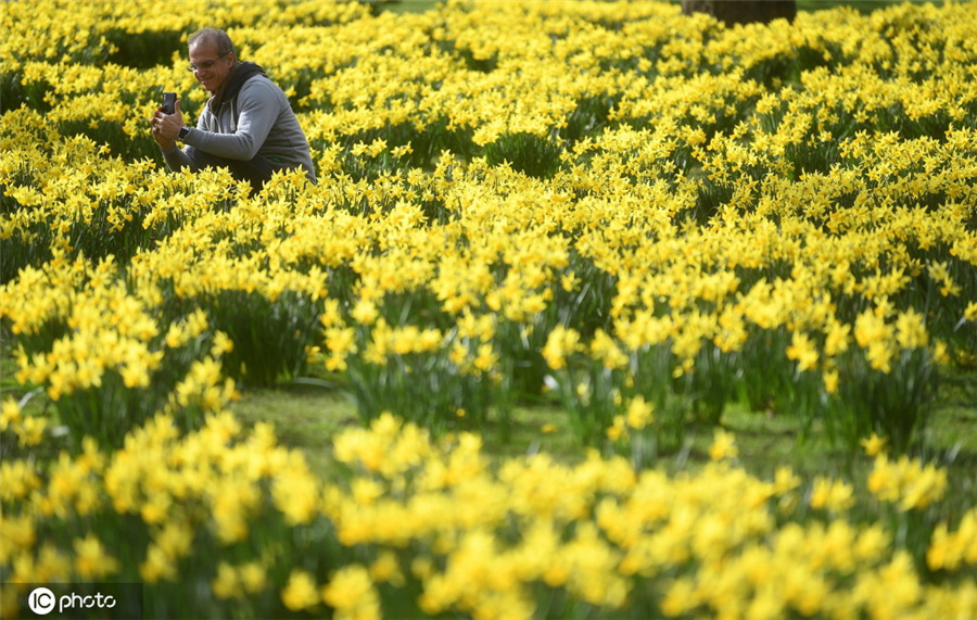 ICphoto(qun)ƷՈD(zhun)d